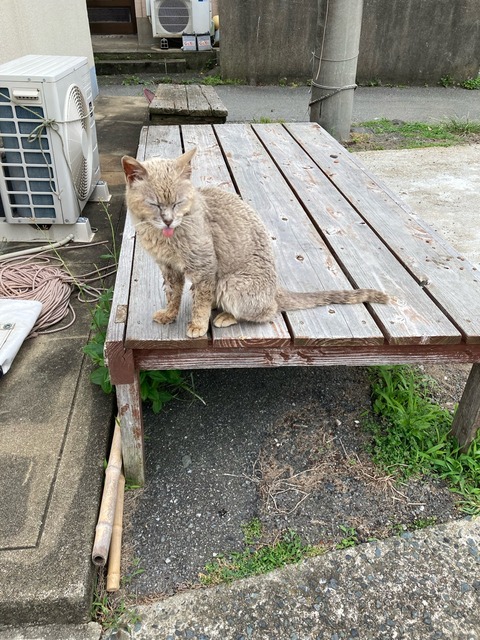 【画像】この間猫島行ってきたw | 【画像】この間猫島行ってきたw | 【画像】この間猫島行ってきたw | 【画像】この間猫島行ってきたw | 【画像】この間猫島行ってきたw | 【画像】この間猫島行ってきたw | 【画像】この間猫島行ってきたw | 【画像】この間猫島行ってきたw | 【画像】この間猫島行ってきたw | 【画像】この間猫島行ってきたw | 【画像】この間猫島行ってきたw | 【画像】この間猫島行ってきたw | 【画像】この間猫島行ってきたw | 【画像】この間猫島行ってきたw | 【画像】この間猫島行ってきたw | 【画像】この間猫島行ってきたw | 【画像】この間猫島行ってきたw | 【画像】この間猫島行ってきたw | 【画像】この間猫島行ってきたw | 【画像】この間猫島行ってきたw | 【画像】この間猫島行ってきたw | 【画像】この間猫島行ってきたw | 【画像】この間猫島行ってきたw | 【画像】この間猫島行ってきたw | 【画像】この間猫島行ってきたw | 【画像】この間猫島行ってきたw | 【画像】この間猫島行ってきたw | 【画像】この間猫島行ってきたw | 【画像】この間猫島行ってきたw | やっちまった速報(画像07044910739559_29) 【画像】この間猫島行ってきたw | 【画像】この間猫島行ってきたw | 【画像】この間猫島行ってきたw | 【画像】この間猫島行ってきたw | 【画像】この間猫島行ってきたw | 【画像】この間猫島行ってきたw | 【画像】この間猫島行ってきたw | 【画像】この間猫島行ってきたw | 【画像】この間猫島行ってきたw | 【画像】この間猫島行ってきたw | 【画像】この間猫島行ってきたw | 【画像】この間猫島行ってきたw | 【画像】この間猫島行ってきたw | 【画像】この間猫島行ってきたw | 【画像】この間猫島行ってきたw | 【画像】この間猫島行ってきたw | 【画像】この間猫島行ってきたw | 【画像】この間猫島行ってきたw | 【画像】この間猫島行ってきたw | 【画像】この間猫島行ってきたw | 【画像】この間猫島行ってきたw | 【画像】この間猫島行ってきたw | 【画像】この間猫島行ってきたw | 【画像】この間猫島行ってきたw | 【画像】この間猫島行ってきたw | 【画像】この間猫島行ってきたw | 【画像】この間猫島行ってきたw | 【画像】この間猫島行ってきたw | 【画像】この間猫島行ってきたw | やっちまった速報(画像07044910739559_29)