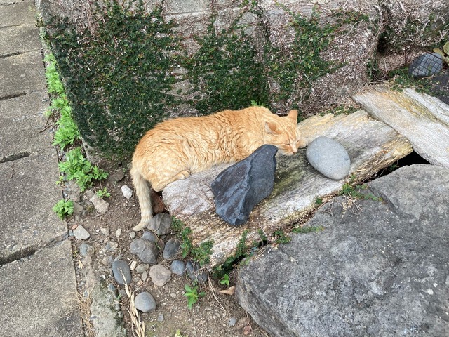 【画像】この間猫島行ってきたw | 【画像】この間猫島行ってきたw | 【画像】この間猫島行ってきたw | 【画像】この間猫島行ってきたw | 【画像】この間猫島行ってきたw | 【画像】この間猫島行ってきたw | 【画像】この間猫島行ってきたw | 【画像】この間猫島行ってきたw | 【画像】この間猫島行ってきたw | 【画像】この間猫島行ってきたw | 【画像】この間猫島行ってきたw | 【画像】この間猫島行ってきたw | 【画像】この間猫島行ってきたw | 【画像】この間猫島行ってきたw | 【画像】この間猫島行ってきたw | 【画像】この間猫島行ってきたw | 【画像】この間猫島行ってきたw | 【画像】この間猫島行ってきたw | 【画像】この間猫島行ってきたw | 【画像】この間猫島行ってきたw | 【画像】この間猫島行ってきたw | 【画像】この間猫島行ってきたw | 【画像】この間猫島行ってきたw | 【画像】この間猫島行ってきたw | 【画像】この間猫島行ってきたw | 【画像】この間猫島行ってきたw | 【画像】この間猫島行ってきたw | 【画像】この間猫島行ってきたw | 【画像】この間猫島行ってきたw | 【画像】この間猫島行ってきたw | やっちまった速報(画像07044911112232_30) 【画像】この間猫島行ってきたw | 【画像】この間猫島行ってきたw | 【画像】この間猫島行ってきたw | 【画像】この間猫島行ってきたw | 【画像】この間猫島行ってきたw | 【画像】この間猫島行ってきたw | 【画像】この間猫島行ってきたw | 【画像】この間猫島行ってきたw | 【画像】この間猫島行ってきたw | 【画像】この間猫島行ってきたw | 【画像】この間猫島行ってきたw | 【画像】この間猫島行ってきたw | 【画像】この間猫島行ってきたw | 【画像】この間猫島行ってきたw | 【画像】この間猫島行ってきたw | 【画像】この間猫島行ってきたw | 【画像】この間猫島行ってきたw | 【画像】この間猫島行ってきたw | 【画像】この間猫島行ってきたw | 【画像】この間猫島行ってきたw | 【画像】この間猫島行ってきたw | 【画像】この間猫島行ってきたw | 【画像】この間猫島行ってきたw | 【画像】この間猫島行ってきたw | 【画像】この間猫島行ってきたw | 【画像】この間猫島行ってきたw | 【画像】この間猫島行ってきたw | 【画像】この間猫島行ってきたw | 【画像】この間猫島行ってきたw | 【画像】この間猫島行ってきたw | やっちまった速報(画像07044911112232_30)