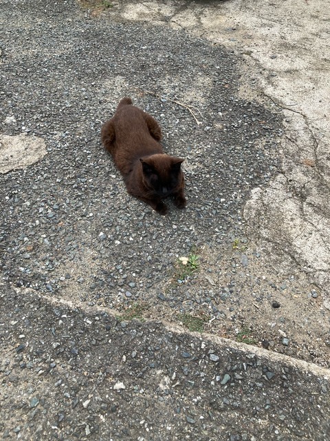 【画像】この間猫島行ってきたw | 【画像】この間猫島行ってきたw | 【画像】この間猫島行ってきたw | 【画像】この間猫島行ってきたw | 【画像】この間猫島行ってきたw | 【画像】この間猫島行ってきたw | 【画像】この間猫島行ってきたw | 【画像】この間猫島行ってきたw | 【画像】この間猫島行ってきたw | 【画像】この間猫島行ってきたw | 【画像】この間猫島行ってきたw | 【画像】この間猫島行ってきたw | 【画像】この間猫島行ってきたw | 【画像】この間猫島行ってきたw | 【画像】この間猫島行ってきたw | 【画像】この間猫島行ってきたw | 【画像】この間猫島行ってきたw | 【画像】この間猫島行ってきたw | 【画像】この間猫島行ってきたw | 【画像】この間猫島行ってきたw | 【画像】この間猫島行ってきたw | 【画像】この間猫島行ってきたw | 【画像】この間猫島行ってきたw | 【画像】この間猫島行ってきたw | 【画像】この間猫島行ってきたw | 【画像】この間猫島行ってきたw | 【画像】この間猫島行ってきたw | 【画像】この間猫島行ってきたw | 【画像】この間猫島行ってきたw | 【画像】この間猫島行ってきたw | 【画像】この間猫島行ってきたw | やっちまった速報(画像07044911475126_31) 【画像】この間猫島行ってきたw | 【画像】この間猫島行ってきたw | 【画像】この間猫島行ってきたw | 【画像】この間猫島行ってきたw | 【画像】この間猫島行ってきたw | 【画像】この間猫島行ってきたw | 【画像】この間猫島行ってきたw | 【画像】この間猫島行ってきたw | 【画像】この間猫島行ってきたw | 【画像】この間猫島行ってきたw | 【画像】この間猫島行ってきたw | 【画像】この間猫島行ってきたw | 【画像】この間猫島行ってきたw | 【画像】この間猫島行ってきたw | 【画像】この間猫島行ってきたw | 【画像】この間猫島行ってきたw | 【画像】この間猫島行ってきたw | 【画像】この間猫島行ってきたw | 【画像】この間猫島行ってきたw | 【画像】この間猫島行ってきたw | 【画像】この間猫島行ってきたw | 【画像】この間猫島行ってきたw | 【画像】この間猫島行ってきたw | 【画像】この間猫島行ってきたw | 【画像】この間猫島行ってきたw | 【画像】この間猫島行ってきたw | 【画像】この間猫島行ってきたw | 【画像】この間猫島行ってきたw | 【画像】この間猫島行ってきたw | 【画像】この間猫島行ってきたw | 【画像】この間猫島行ってきたw | やっちまった速報(画像07044911475126_31)
