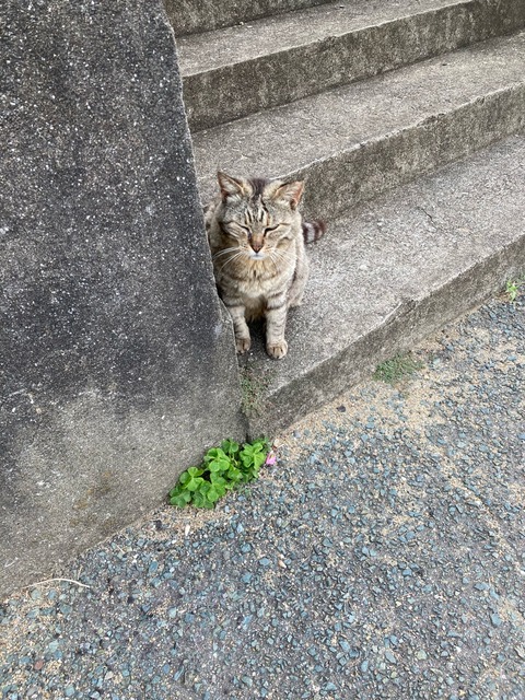 【画像】この間猫島行ってきたw | 【画像】この間猫島行ってきたw | 【画像】この間猫島行ってきたw | 【画像】この間猫島行ってきたw | 【画像】この間猫島行ってきたw | 【画像】この間猫島行ってきたw | 【画像】この間猫島行ってきたw | 【画像】この間猫島行ってきたw | 【画像】この間猫島行ってきたw | 【画像】この間猫島行ってきたw | 【画像】この間猫島行ってきたw | 【画像】この間猫島行ってきたw | 【画像】この間猫島行ってきたw | 【画像】この間猫島行ってきたw | 【画像】この間猫島行ってきたw | 【画像】この間猫島行ってきたw | 【画像】この間猫島行ってきたw | 【画像】この間猫島行ってきたw | 【画像】この間猫島行ってきたw | 【画像】この間猫島行ってきたw | 【画像】この間猫島行ってきたw | 【画像】この間猫島行ってきたw | 【画像】この間猫島行ってきたw | 【画像】この間猫島行ってきたw | 【画像】この間猫島行ってきたw | 【画像】この間猫島行ってきたw | 【画像】この間猫島行ってきたw | 【画像】この間猫島行ってきたw | 【画像】この間猫島行ってきたw | 【画像】この間猫島行ってきたw | 【画像】この間猫島行ってきたw | 【画像】この間猫島行ってきたw | やっちまった速報(画像07044911828544_32) 【画像】この間猫島行ってきたw | 【画像】この間猫島行ってきたw | 【画像】この間猫島行ってきたw | 【画像】この間猫島行ってきたw | 【画像】この間猫島行ってきたw | 【画像】この間猫島行ってきたw | 【画像】この間猫島行ってきたw | 【画像】この間猫島行ってきたw | 【画像】この間猫島行ってきたw | 【画像】この間猫島行ってきたw | 【画像】この間猫島行ってきたw | 【画像】この間猫島行ってきたw | 【画像】この間猫島行ってきたw | 【画像】この間猫島行ってきたw | 【画像】この間猫島行ってきたw | 【画像】この間猫島行ってきたw | 【画像】この間猫島行ってきたw | 【画像】この間猫島行ってきたw | 【画像】この間猫島行ってきたw | 【画像】この間猫島行ってきたw | 【画像】この間猫島行ってきたw | 【画像】この間猫島行ってきたw | 【画像】この間猫島行ってきたw | 【画像】この間猫島行ってきたw | 【画像】この間猫島行ってきたw | 【画像】この間猫島行ってきたw | 【画像】この間猫島行ってきたw | 【画像】この間猫島行ってきたw | 【画像】この間猫島行ってきたw | 【画像】この間猫島行ってきたw | 【画像】この間猫島行ってきたw | 【画像】この間猫島行ってきたw | やっちまった速報(画像07044911828544_32)