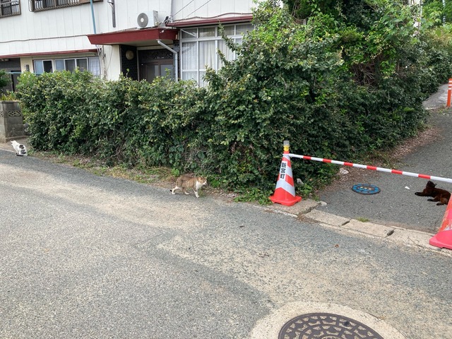 【画像】この間猫島行ってきたw | 【画像】この間猫島行ってきたw | 【画像】この間猫島行ってきたw | 【画像】この間猫島行ってきたw | 【画像】この間猫島行ってきたw | 【画像】この間猫島行ってきたw | 【画像】この間猫島行ってきたw | 【画像】この間猫島行ってきたw | 【画像】この間猫島行ってきたw | 【画像】この間猫島行ってきたw | 【画像】この間猫島行ってきたw | 【画像】この間猫島行ってきたw | 【画像】この間猫島行ってきたw | 【画像】この間猫島行ってきたw | 【画像】この間猫島行ってきたw | 【画像】この間猫島行ってきたw | 【画像】この間猫島行ってきたw | 【画像】この間猫島行ってきたw | 【画像】この間猫島行ってきたw | 【画像】この間猫島行ってきたw | 【画像】この間猫島行ってきたw | 【画像】この間猫島行ってきたw | 【画像】この間猫島行ってきたw | 【画像】この間猫島行ってきたw | 【画像】この間猫島行ってきたw | 【画像】この間猫島行ってきたw | 【画像】この間猫島行ってきたw | 【画像】この間猫島行ってきたw | 【画像】この間猫島行ってきたw | 【画像】この間猫島行ってきたw | 【画像】この間猫島行ってきたw | 【画像】この間猫島行ってきたw | 【画像】この間猫島行ってきたw | やっちまった速報(画像07044912200959_33) 【画像】この間猫島行ってきたw | 【画像】この間猫島行ってきたw | 【画像】この間猫島行ってきたw | 【画像】この間猫島行ってきたw | 【画像】この間猫島行ってきたw | 【画像】この間猫島行ってきたw | 【画像】この間猫島行ってきたw | 【画像】この間猫島行ってきたw | 【画像】この間猫島行ってきたw | 【画像】この間猫島行ってきたw | 【画像】この間猫島行ってきたw | 【画像】この間猫島行ってきたw | 【画像】この間猫島行ってきたw | 【画像】この間猫島行ってきたw | 【画像】この間猫島行ってきたw | 【画像】この間猫島行ってきたw | 【画像】この間猫島行ってきたw | 【画像】この間猫島行ってきたw | 【画像】この間猫島行ってきたw | 【画像】この間猫島行ってきたw | 【画像】この間猫島行ってきたw | 【画像】この間猫島行ってきたw | 【画像】この間猫島行ってきたw | 【画像】この間猫島行ってきたw | 【画像】この間猫島行ってきたw | 【画像】この間猫島行ってきたw | 【画像】この間猫島行ってきたw | 【画像】この間猫島行ってきたw | 【画像】この間猫島行ってきたw | 【画像】この間猫島行ってきたw | 【画像】この間猫島行ってきたw | 【画像】この間猫島行ってきたw | 【画像】この間猫島行ってきたw | やっちまった速報(画像07044912200959_33)