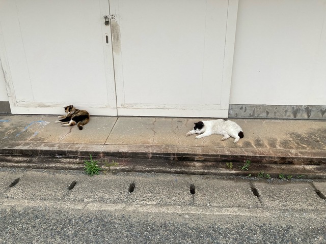 【画像】この間猫島行ってきたw | 【画像】この間猫島行ってきたw | 【画像】この間猫島行ってきたw | 【画像】この間猫島行ってきたw | 【画像】この間猫島行ってきたw | 【画像】この間猫島行ってきたw | 【画像】この間猫島行ってきたw | 【画像】この間猫島行ってきたw | 【画像】この間猫島行ってきたw | 【画像】この間猫島行ってきたw | 【画像】この間猫島行ってきたw | 【画像】この間猫島行ってきたw | 【画像】この間猫島行ってきたw | 【画像】この間猫島行ってきたw | 【画像】この間猫島行ってきたw | 【画像】この間猫島行ってきたw | 【画像】この間猫島行ってきたw | 【画像】この間猫島行ってきたw | 【画像】この間猫島行ってきたw | 【画像】この間猫島行ってきたw | 【画像】この間猫島行ってきたw | 【画像】この間猫島行ってきたw | 【画像】この間猫島行ってきたw | 【画像】この間猫島行ってきたw | 【画像】この間猫島行ってきたw | 【画像】この間猫島行ってきたw | 【画像】この間猫島行ってきたw | 【画像】この間猫島行ってきたw | 【画像】この間猫島行ってきたw | 【画像】この間猫島行ってきたw | 【画像】この間猫島行ってきたw | 【画像】この間猫島行ってきたw | 【画像】この間猫島行ってきたw | 【画像】この間猫島行ってきたw | やっちまった速報(画像07044912542449_34) 【画像】この間猫島行ってきたw | 【画像】この間猫島行ってきたw | 【画像】この間猫島行ってきたw | 【画像】この間猫島行ってきたw | 【画像】この間猫島行ってきたw | 【画像】この間猫島行ってきたw | 【画像】この間猫島行ってきたw | 【画像】この間猫島行ってきたw | 【画像】この間猫島行ってきたw | 【画像】この間猫島行ってきたw | 【画像】この間猫島行ってきたw | 【画像】この間猫島行ってきたw | 【画像】この間猫島行ってきたw | 【画像】この間猫島行ってきたw | 【画像】この間猫島行ってきたw | 【画像】この間猫島行ってきたw | 【画像】この間猫島行ってきたw | 【画像】この間猫島行ってきたw | 【画像】この間猫島行ってきたw | 【画像】この間猫島行ってきたw | 【画像】この間猫島行ってきたw | 【画像】この間猫島行ってきたw | 【画像】この間猫島行ってきたw | 【画像】この間猫島行ってきたw | 【画像】この間猫島行ってきたw | 【画像】この間猫島行ってきたw | 【画像】この間猫島行ってきたw | 【画像】この間猫島行ってきたw | 【画像】この間猫島行ってきたw | 【画像】この間猫島行ってきたw | 【画像】この間猫島行ってきたw | 【画像】この間猫島行ってきたw | 【画像】この間猫島行ってきたw | 【画像】この間猫島行ってきたw | やっちまった速報(画像07044912542449_34)