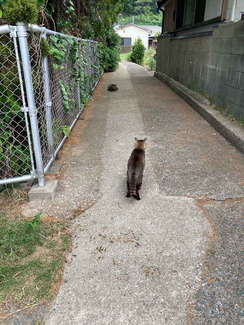 【画像】この間猫島行ってきたw | 【画像】この間猫島行ってきたw | 【画像】この間猫島行ってきたw | 【画像】この間猫島行ってきたw | 【画像】この間猫島行ってきたw | 【画像】この間猫島行ってきたw | 【画像】この間猫島行ってきたw | 【画像】この間猫島行ってきたw | 【画像】この間猫島行ってきたw | 【画像】この間猫島行ってきたw | 【画像】この間猫島行ってきたw | 【画像】この間猫島行ってきたw | 【画像】この間猫島行ってきたw | 【画像】この間猫島行ってきたw | 【画像】この間猫島行ってきたw | 【画像】この間猫島行ってきたw | 【画像】この間猫島行ってきたw | 【画像】この間猫島行ってきたw | 【画像】この間猫島行ってきたw | 【画像】この間猫島行ってきたw | 【画像】この間猫島行ってきたw | 【画像】この間猫島行ってきたw | 【画像】この間猫島行ってきたw | 【画像】この間猫島行ってきたw | 【画像】この間猫島行ってきたw | 【画像】この間猫島行ってきたw | 【画像】この間猫島行ってきたw | 【画像】この間猫島行ってきたw | 【画像】この間猫島行ってきたw | 【画像】この間猫島行ってきたw | 【画像】この間猫島行ってきたw | 【画像】この間猫島行ってきたw | 【画像】この間猫島行ってきたw | 【画像】この間猫島行ってきたw | 【画像】この間猫島行ってきたw | 【画像】この間猫島行ってきたw | やっちまった速報(画像07044913256054_36) 【画像】この間猫島行ってきたw | 【画像】この間猫島行ってきたw | 【画像】この間猫島行ってきたw | 【画像】この間猫島行ってきたw | 【画像】この間猫島行ってきたw | 【画像】この間猫島行ってきたw | 【画像】この間猫島行ってきたw | 【画像】この間猫島行ってきたw | 【画像】この間猫島行ってきたw | 【画像】この間猫島行ってきたw | 【画像】この間猫島行ってきたw | 【画像】この間猫島行ってきたw | 【画像】この間猫島行ってきたw | 【画像】この間猫島行ってきたw | 【画像】この間猫島行ってきたw | 【画像】この間猫島行ってきたw | 【画像】この間猫島行ってきたw | 【画像】この間猫島行ってきたw | 【画像】この間猫島行ってきたw | 【画像】この間猫島行ってきたw | 【画像】この間猫島行ってきたw | 【画像】この間猫島行ってきたw | 【画像】この間猫島行ってきたw | 【画像】この間猫島行ってきたw | 【画像】この間猫島行ってきたw | 【画像】この間猫島行ってきたw | 【画像】この間猫島行ってきたw | 【画像】この間猫島行ってきたw | 【画像】この間猫島行ってきたw | 【画像】この間猫島行ってきたw | 【画像】この間猫島行ってきたw | 【画像】この間猫島行ってきたw | 【画像】この間猫島行ってきたw | 【画像】この間猫島行ってきたw | 【画像】この間猫島行ってきたw | 【画像】この間猫島行ってきたw | やっちまった速報(画像07044913256054_36)
