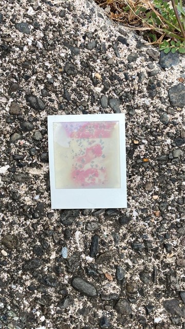 【画像】この間猫島行ってきたw | 【画像】この間猫島行ってきたw | 【画像】この間猫島行ってきたw | 【画像】この間猫島行ってきたw | 【画像】この間猫島行ってきたw | 【画像】この間猫島行ってきたw | 【画像】この間猫島行ってきたw | 【画像】この間猫島行ってきたw | 【画像】この間猫島行ってきたw | 【画像】この間猫島行ってきたw | 【画像】この間猫島行ってきたw | 【画像】この間猫島行ってきたw | 【画像】この間猫島行ってきたw | 【画像】この間猫島行ってきたw | 【画像】この間猫島行ってきたw | 【画像】この間猫島行ってきたw | 【画像】この間猫島行ってきたw | 【画像】この間猫島行ってきたw | 【画像】この間猫島行ってきたw | 【画像】この間猫島行ってきたw | 【画像】この間猫島行ってきたw | 【画像】この間猫島行ってきたw | 【画像】この間猫島行ってきたw | 【画像】この間猫島行ってきたw | 【画像】この間猫島行ってきたw | 【画像】この間猫島行ってきたw | 【画像】この間猫島行ってきたw | 【画像】この間猫島行ってきたw | 【画像】この間猫島行ってきたw | 【画像】この間猫島行ってきたw | 【画像】この間猫島行ってきたw | 【画像】この間猫島行ってきたw | 【画像】この間猫島行ってきたw | 【画像】この間猫島行ってきたw | 【画像】この間猫島行ってきたw | 【画像】この間猫島行ってきたw | 【画像】この間猫島行ってきたw | 【画像】この間猫島行ってきたw | 【画像】この間猫島行ってきたw | 【画像】この間猫島行ってきたw | 【画像】この間猫島行ってきたw | 【画像】この間猫島行ってきたw | やっちまった速報(画像07044915145727_42) 【画像】この間猫島行ってきたw | 【画像】この間猫島行ってきたw | 【画像】この間猫島行ってきたw | 【画像】この間猫島行ってきたw | 【画像】この間猫島行ってきたw | 【画像】この間猫島行ってきたw | 【画像】この間猫島行ってきたw | 【画像】この間猫島行ってきたw | 【画像】この間猫島行ってきたw | 【画像】この間猫島行ってきたw | 【画像】この間猫島行ってきたw | 【画像】この間猫島行ってきたw | 【画像】この間猫島行ってきたw | 【画像】この間猫島行ってきたw | 【画像】この間猫島行ってきたw | 【画像】この間猫島行ってきたw | 【画像】この間猫島行ってきたw | 【画像】この間猫島行ってきたw | 【画像】この間猫島行ってきたw | 【画像】この間猫島行ってきたw | 【画像】この間猫島行ってきたw | 【画像】この間猫島行ってきたw | 【画像】この間猫島行ってきたw | 【画像】この間猫島行ってきたw | 【画像】この間猫島行ってきたw | 【画像】この間猫島行ってきたw | 【画像】この間猫島行ってきたw | 【画像】この間猫島行ってきたw | 【画像】この間猫島行ってきたw | 【画像】この間猫島行ってきたw | 【画像】この間猫島行ってきたw | 【画像】この間猫島行ってきたw | 【画像】この間猫島行ってきたw | 【画像】この間猫島行ってきたw | 【画像】この間猫島行ってきたw | 【画像】この間猫島行ってきたw | 【画像】この間猫島行ってきたw | 【画像】この間猫島行ってきたw | 【画像】この間猫島行ってきたw | 【画像】この間猫島行ってきたw | 【画像】この間猫島行ってきたw | 【画像】この間猫島行ってきたw | やっちまった速報(画像07044915145727_42)