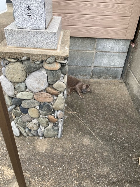 【画像】この間猫島行ってきたw | 【画像】この間猫島行ってきたw | 【画像】この間猫島行ってきたw | 【画像】この間猫島行ってきたw | 【画像】この間猫島行ってきたw | 【画像】この間猫島行ってきたw | 【画像】この間猫島行ってきたw | やっちまった速報(画像07044903022578_7) 【画像】この間猫島行ってきたw | 【画像】この間猫島行ってきたw | 【画像】この間猫島行ってきたw | 【画像】この間猫島行ってきたw | 【画像】この間猫島行ってきたw | 【画像】この間猫島行ってきたw | 【画像】この間猫島行ってきたw | やっちまった速報(画像07044903022578_7)