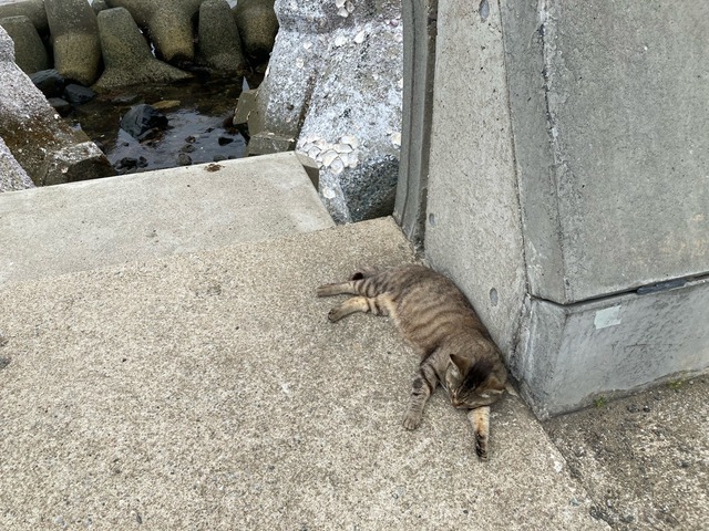 【画像】この間猫島行ってきたw | 【画像】この間猫島行ってきたw | 【画像】この間猫島行ってきたw | 【画像】この間猫島行ってきたw | 【画像】この間猫島行ってきたw | 【画像】この間猫島行ってきたw | 【画像】この間猫島行ってきたw | 【画像】この間猫島行ってきたw | 【画像】この間猫島行ってきたw | やっちまった速報(画像07044903738668_9) 【画像】この間猫島行ってきたw | 【画像】この間猫島行ってきたw | 【画像】この間猫島行ってきたw | 【画像】この間猫島行ってきたw | 【画像】この間猫島行ってきたw | 【画像】この間猫島行ってきたw | 【画像】この間猫島行ってきたw | 【画像】この間猫島行ってきたw | 【画像】この間猫島行ってきたw | やっちまった速報(画像07044903738668_9)