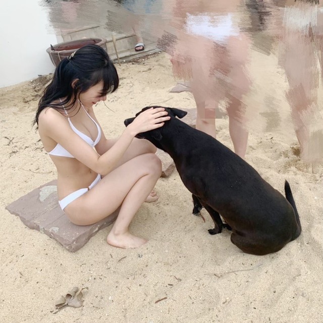 ペット業界「なんでみんな犬を飼ってくれないの！」 | ペット業界「なんでみんな犬を飼ってくれないの！」 | ペット業界「なんでみんな犬を飼ってくれないの！」 | やっちまった速報(画像15092903609382_3)
