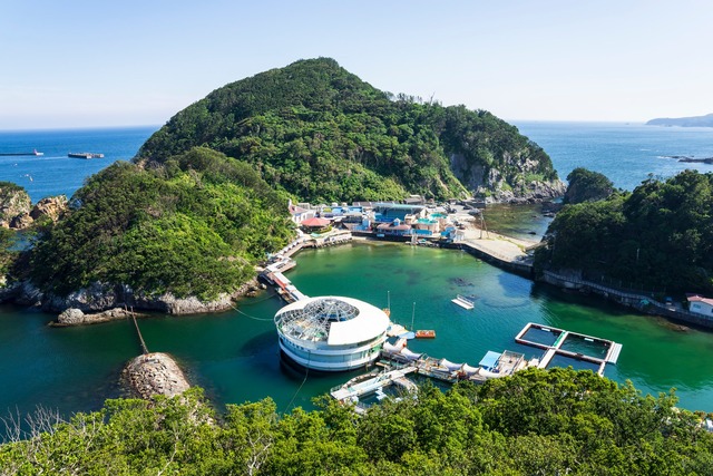 【悲報】パパさん、水族館で妻子と離れた隙に女性のスカート内を盗撮、逮捕 | 【悲報】パパさん、水族館で妻子と離れた隙に女性のスカート内を盗撮、逮捕 | 【悲報】パパさん、水族館で妻子と離れた隙に女性のスカート内を盗撮、逮捕 | 【悲報】パパさん、水族館で妻子と離れた隙に女性のスカート内を盗撮、逮捕 | 【悲報】パパさん、水族館で妻子と離れた隙に女性のスカート内を盗撮、逮捕 | やっちまった速報(画像22181849267652_5)