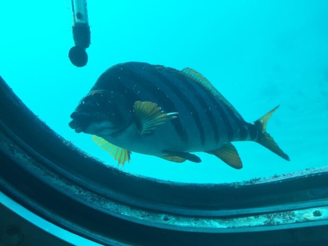 【悲報】パパさん、水族館で妻子と離れた隙に女性のスカート内を盗撮、逮捕 | 【悲報】パパさん、水族館で妻子と離れた隙に女性のスカート内を盗撮、逮捕 | 【悲報】パパさん、水族館で妻子と離れた隙に女性のスカート内を盗撮、逮捕 | 【悲報】パパさん、水族館で妻子と離れた隙に女性のスカート内を盗撮、逮捕 | 【悲報】パパさん、水族館で妻子と離れた隙に女性のスカート内を盗撮、逮捕 | 【悲報】パパさん、水族館で妻子と離れた隙に女性のスカート内を盗撮、逮捕 | 【悲報】パパさん、水族館で妻子と離れた隙に女性のスカート内を盗撮、逮捕 | やっちまった速報(画像22181849952612_7) 【悲報】パパさん、水族館で妻子と離れた隙に女性のスカート内を盗撮、逮捕 | 【悲報】パパさん、水族館で妻子と離れた隙に女性のスカート内を盗撮、逮捕 | 【悲報】パパさん、水族館で妻子と離れた隙に女性のスカート内を盗撮、逮捕 | 【悲報】パパさん、水族館で妻子と離れた隙に女性のスカート内を盗撮、逮捕 | 【悲報】パパさん、水族館で妻子と離れた隙に女性のスカート内を盗撮、逮捕 | 【悲報】パパさん、水族館で妻子と離れた隙に女性のスカート内を盗撮、逮捕 | 【悲報】パパさん、水族館で妻子と離れた隙に女性のスカート内を盗撮、逮捕 | やっちまった速報(画像22181849952612_7)