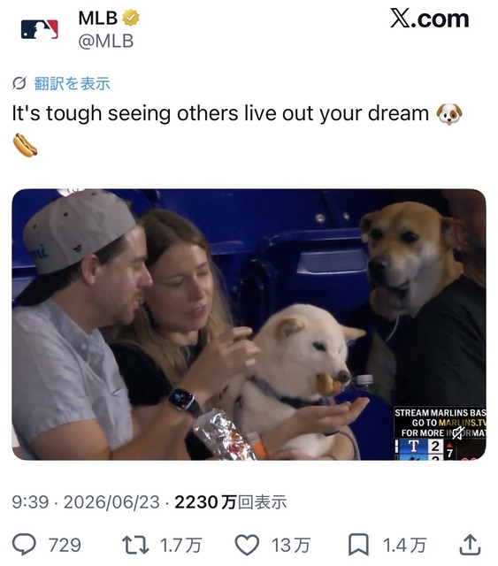 【悲報】大谷のラッシングブチギレ動画インプレ1800万弱いってしまうwwwwwwwwwwww | 【悲報】大谷のラッシングブチギレ動画インプレ1800万弱いってしまうwwwwwwwwwwww | 【悲報】大谷のラッシングブチギレ動画インプレ1800万弱いってしまうwwwwwwwwwwww | やっちまった速報(画像26165303874528_3)