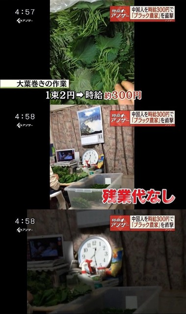 【悲報】来日したネパール人移民、過去10ヶ月で67人が死亡し25人が自殺WWWWWWWWWWWWWWW | 【悲報】来日したネパール人移民、過去10ヶ月で67人が死亡し25人が自殺WWWWWWWWWWWWWWW | 【悲報】来日したネパール人移民、過去10ヶ月で67人が死亡し25人が自殺WWWWWWWWWWWWWWW | 【悲報】来日したネパール人移民、過去10ヶ月で67人が死亡し25人が自殺WWWWWWWWWWWWWWW | 【悲報】来日したネパール人移民、過去10ヶ月で67人が死亡し25人が自殺WWWWWWWWWWWWWWW | 【悲報】来日したネパール人移民、過去10ヶ月で67人が死亡し25人が自殺WWWWWWWWWWWWWWW | 【悲報】来日したネパール人移民、過去10ヶ月で67人が死亡し25人が自殺WWWWWWWWWWWWWWW | 【悲報】来日したネパール人移民、過去10ヶ月で67人が死亡し25人が自殺WWWWWWWWWWWWWWW | 【悲報】来日したネパール人移民、過去10ヶ月で67人が死亡し25人が自殺WWWWWWWWWWWWWWW | 【悲報】来日したネパール人移民、過去10ヶ月で67人が死亡し25人が自殺WWWWWWWWWWWWWWW | 【悲報】来日したネパール人移民、過去10ヶ月で67人が死亡し25人が自殺WWWWWWWWWWWWWWW | 【悲報】来日したネパール人移民、過去10ヶ月で67人が死亡し25人が自殺WWWWWWWWWWWWWWW | 【悲報】来日したネパール人移民、過去10ヶ月で67人が死亡し25人が自殺WWWWWWWWWWWWWWW | 【悲報】来日したネパール人移民、過去10ヶ月で67人が死亡し25人が自殺WWWWWWWWWWWWWWW | 【悲報】来日したネパール人移民、過去10ヶ月で67人が死亡し25人が自殺WWWWWWWWWWWWWWW | 【悲報】来日したネパール人移民、過去10ヶ月で67人が死亡し25人が自殺WWWWWWWWWWWWWWW | やっちまった速報(画像03050508750851_16)