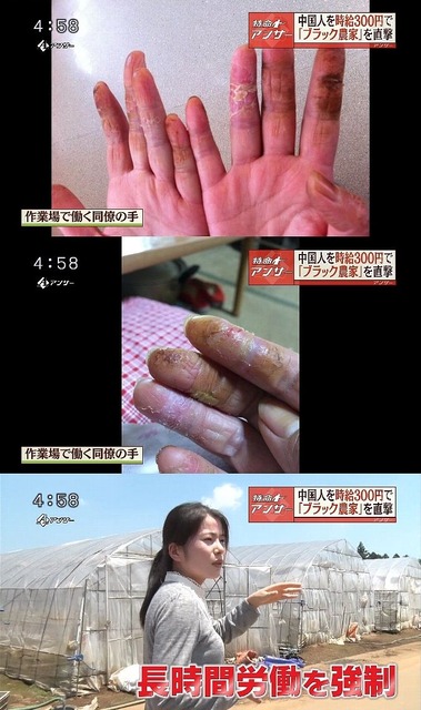 【悲報】来日したネパール人移民、過去10ヶ月で67人が死亡し25人が自殺WWWWWWWWWWWWWWW | 【悲報】来日したネパール人移民、過去10ヶ月で67人が死亡し25人が自殺WWWWWWWWWWWWWWW | 【悲報】来日したネパール人移民、過去10ヶ月で67人が死亡し25人が自殺WWWWWWWWWWWWWWW | 【悲報】来日したネパール人移民、過去10ヶ月で67人が死亡し25人が自殺WWWWWWWWWWWWWWW | 【悲報】来日したネパール人移民、過去10ヶ月で67人が死亡し25人が自殺WWWWWWWWWWWWWWW | 【悲報】来日したネパール人移民、過去10ヶ月で67人が死亡し25人が自殺WWWWWWWWWWWWWWW | 【悲報】来日したネパール人移民、過去10ヶ月で67人が死亡し25人が自殺WWWWWWWWWWWWWWW | 【悲報】来日したネパール人移民、過去10ヶ月で67人が死亡し25人が自殺WWWWWWWWWWWWWWW | 【悲報】来日したネパール人移民、過去10ヶ月で67人が死亡し25人が自殺WWWWWWWWWWWWWWW | 【悲報】来日したネパール人移民、過去10ヶ月で67人が死亡し25人が自殺WWWWWWWWWWWWWWW | 【悲報】来日したネパール人移民、過去10ヶ月で67人が死亡し25人が自殺WWWWWWWWWWWWWWW | 【悲報】来日したネパール人移民、過去10ヶ月で67人が死亡し25人が自殺WWWWWWWWWWWWWWW | 【悲報】来日したネパール人移民、過去10ヶ月で67人が死亡し25人が自殺WWWWWWWWWWWWWWW | 【悲報】来日したネパール人移民、過去10ヶ月で67人が死亡し25人が自殺WWWWWWWWWWWWWWW | 【悲報】来日したネパール人移民、過去10ヶ月で67人が死亡し25人が自殺WWWWWWWWWWWWWWW | 【悲報】来日したネパール人移民、過去10ヶ月で67人が死亡し25人が自殺WWWWWWWWWWWWWWW | 【悲報】来日したネパール人移民、過去10ヶ月で67人が死亡し25人が自殺WWWWWWWWWWWWWWW | 【悲報】来日したネパール人移民、過去10ヶ月で67人が死亡し25人が自殺WWWWWWWWWWWWWWW | やっちまった速報(画像03050509451936_18)