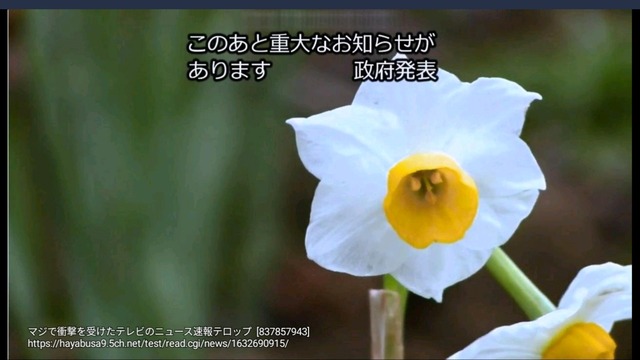 マジで衝撃を受けたテレビのニュース速報のテロップ | マジで衝撃を受けたテレビのニュース速報のテロップ | マジで衝撃を受けたテレビのニュース速報のテロップ | マジで衝撃を受けたテレビのニュース速報のテロップ | マジで衝撃を受けたテレビのニュース速報のテロップ | マジで衝撃を受けたテレビのニュース速報のテロップ | マジで衝撃を受けたテレビのニュース速報のテロップ | マジで衝撃を受けたテレビのニュース速報のテロップ | マジで衝撃を受けたテレビのニュース速報のテロップ | マジで衝撃を受けたテレビのニュース速報のテロップ | マジで衝撃を受けたテレビのニュース速報のテロップ | マジで衝撃を受けたテレビのニュース速報のテロップ | マジで衝撃を受けたテレビのニュース速報のテロップ | マジで衝撃を受けたテレビのニュース速報のテロップ | マジで衝撃を受けたテレビのニュース速報のテロップ | マジで衝撃を受けたテレビのニュース速報のテロップ | マジで衝撃を受けたテレビのニュース速報のテロップ | マジで衝撃を受けたテレビのニュース速報のテロップ | マジで衝撃を受けたテレビのニュース速報のテロップ | マジで衝撃を受けたテレビのニュース速報のテロップ | マジで衝撃を受けたテレビのニュース速報のテロップ | マジで衝撃を受けたテレビのニュース速報のテロップ | マジで衝撃を受けたテレビのニュース速報のテロップ | マジで衝撃を受けたテレビのニュース速報のテロップ | マジで衝撃を受けたテレビのニュース速報のテロップ | マジで衝撃を受けたテレビのニュース速報のテロップ | マジで衝撃を受けたテレビのニュース速報のテロップ | マジで衝撃を受けたテレビのニュース速報のテロップ | マジで衝撃を受けたテレビのニュース速報のテロップ | マジで衝撃を受けたテレビのニュース速報のテロップ | マジで衝撃を受けたテレビのニュース速報のテロップ | マジで衝撃を受けたテレビのニュース速報のテロップ | マジで衝撃を受けたテレビのニュース速報のテロップ | マジで衝撃を受けたテレビのニュース速報のテロップ | マジで衝撃を受けたテレビのニュース速報のテロップ | マジで衝撃を受けたテレビのニュース速報のテロップ | マジで衝撃を受けたテレビのニュース速報のテロップ | マジで衝撃を受けたテレビのニュース速報のテロップ | マジで衝撃を受けたテレビのニュース速報のテロップ | マジで衝撃を受けたテレビのニュース速報のテロップ | マジで衝撃を受けたテレビのニュース速報のテロップ | マジで衝撃を受けたテレビのニュース速報のテロップ | マジで衝撃を受けたテレビのニュース速報のテロップ | マジで衝撃を受けたテレビのニュース速報のテロップ | マジで衝撃を受けたテレビのニュース速報のテロップ | マジで衝撃を受けたテレビのニュース速報のテロップ | マジで衝撃を受けたテレビのニュース速報のテロップ | やっちまった速報(画像03070438831779_47)