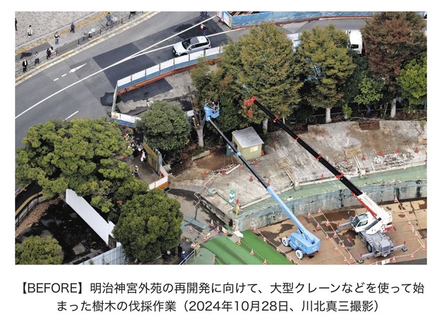 【悲報】トランプ大統領、日本が友好の証として寄贈したワシントンD.C.の桜の木を伐採しようとして炎上wwwwwwwww | 【悲報】トランプ大統領、日本が友好の証として寄贈したワシントンD.C.の桜の木を伐採しようとして炎上wwwwwwwww | 【悲報】トランプ大統領、日本が友好の証として寄贈したワシントンD.C.の桜の木を伐採しようとして炎上wwwwwwwww | 【悲報】トランプ大統領、日本が友好の証として寄贈したワシントンD.C.の桜の木を伐採しようとして炎上wwwwwwwww | 【悲報】トランプ大統領、日本が友好の証として寄贈したワシントンD.C.の桜の木を伐採しようとして炎上wwwwwwwww | 【悲報】トランプ大統領、日本が友好の証として寄贈したワシントンD.C.の桜の木を伐採しようとして炎上wwwwwwwww | 【悲報】トランプ大統領、日本が友好の証として寄贈したワシントンD.C.の桜の木を伐採しようとして炎上wwwwwwwww | 【悲報】トランプ大統領、日本が友好の証として寄贈したワシントンD.C.の桜の木を伐採しようとして炎上wwwwwwwww | やっちまった速報(画像03150419545929_8)
