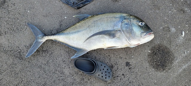 【画像】ルアー釣り始めて2ヶ月やけど大物釣れた! | 【画像】ルアー釣り始めて2ヶ月やけど大物釣れた! | 【画像】ルアー釣り始めて2ヶ月やけど大物釣れた! | 【画像】ルアー釣り始めて2ヶ月やけど大物釣れた! | 【画像】ルアー釣り始めて2ヶ月やけど大物釣れた! | 【画像】ルアー釣り始めて2ヶ月やけど大物釣れた! | 【画像】ルアー釣り始めて2ヶ月やけど大物釣れた! | 【画像】ルアー釣り始めて2ヶ月やけど大物釣れた! | 【画像】ルアー釣り始めて2ヶ月やけど大物釣れた! | 【画像】ルアー釣り始めて2ヶ月やけど大物釣れた! | 【画像】ルアー釣り始めて2ヶ月やけど大物釣れた! | 【画像】ルアー釣り始めて2ヶ月やけど大物釣れた! | やっちまった速報(画像05010428596703_12) 【画像】ルアー釣り始めて2ヶ月やけど大物釣れた! | 【画像】ルアー釣り始めて2ヶ月やけど大物釣れた! | 【画像】ルアー釣り始めて2ヶ月やけど大物釣れた! | 【画像】ルアー釣り始めて2ヶ月やけど大物釣れた! | 【画像】ルアー釣り始めて2ヶ月やけど大物釣れた! | 【画像】ルアー釣り始めて2ヶ月やけど大物釣れた! | 【画像】ルアー釣り始めて2ヶ月やけど大物釣れた! | 【画像】ルアー釣り始めて2ヶ月やけど大物釣れた! | 【画像】ルアー釣り始めて2ヶ月やけど大物釣れた! | 【画像】ルアー釣り始めて2ヶ月やけど大物釣れた! | 【画像】ルアー釣り始めて2ヶ月やけど大物釣れた! | 【画像】ルアー釣り始めて2ヶ月やけど大物釣れた! | やっちまった速報(画像05010428596703_12)