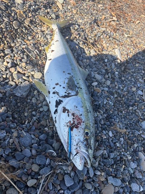 【画像】ルアー釣り始めて2ヶ月やけど大物釣れた! | 【画像】ルアー釣り始めて2ヶ月やけど大物釣れた! | 【画像】ルアー釣り始めて2ヶ月やけど大物釣れた! | 【画像】ルアー釣り始めて2ヶ月やけど大物釣れた! | 【画像】ルアー釣り始めて2ヶ月やけど大物釣れた! | やっちまった速報(画像05010426167022_5) 【画像】ルアー釣り始めて2ヶ月やけど大物釣れた! | 【画像】ルアー釣り始めて2ヶ月やけど大物釣れた! | 【画像】ルアー釣り始めて2ヶ月やけど大物釣れた! | 【画像】ルアー釣り始めて2ヶ月やけど大物釣れた! | 【画像】ルアー釣り始めて2ヶ月やけど大物釣れた! | やっちまった速報(画像05010426167022_5)