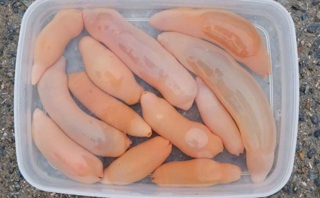 【画像】ルアー釣り始めて2ヶ月やけど大物釣れた! | 【画像】ルアー釣り始めて2ヶ月やけど大物釣れた! | 【画像】ルアー釣り始めて2ヶ月やけど大物釣れた! | 【画像】ルアー釣り始めて2ヶ月やけど大物釣れた! | 【画像】ルアー釣り始めて2ヶ月やけど大物釣れた! | 【画像】ルアー釣り始めて2ヶ月やけど大物釣れた! | 【画像】ルアー釣り始めて2ヶ月やけど大物釣れた! | やっちまった速報(画像05010426899556_7) 【画像】ルアー釣り始めて2ヶ月やけど大物釣れた! | 【画像】ルアー釣り始めて2ヶ月やけど大物釣れた! | 【画像】ルアー釣り始めて2ヶ月やけど大物釣れた! | 【画像】ルアー釣り始めて2ヶ月やけど大物釣れた! | 【画像】ルアー釣り始めて2ヶ月やけど大物釣れた! | 【画像】ルアー釣り始めて2ヶ月やけど大物釣れた! | 【画像】ルアー釣り始めて2ヶ月やけど大物釣れた! | やっちまった速報(画像05010426899556_7)