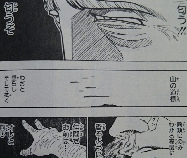 【悲報】ヨドバシのうんこ、囮だった可能性が浮上ｗｗｗｗｗ | 【悲報】ヨドバシのうんこ、囮だった可能性が浮上ｗｗｗｗｗ | 【悲報】ヨドバシのうんこ、囮だった可能性が浮上ｗｗｗｗｗ | やっちまった速報(画像07145423483287_3)