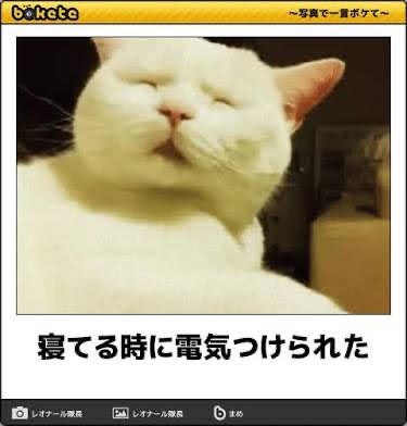 大喜利サイト『bokete』がサ終するから面白かったネタ貼るぞwwwwwww | 大喜利サイト『bokete』がサ終するから面白かったネタ貼るぞwwwwwww | 大喜利サイト『bokete』がサ終するから面白かったネタ貼るぞwwwwwww | 大喜利サイト『bokete』がサ終するから面白かったネタ貼るぞwwwwwww | 大喜利サイト『bokete』がサ終するから面白かったネタ貼るぞwwwwwww | 大喜利サイト『bokete』がサ終するから面白かったネタ貼るぞwwwwwww | 大喜利サイト『bokete』がサ終するから面白かったネタ貼るぞwwwwwww | 大喜利サイト『bokete』がサ終するから面白かったネタ貼るぞwwwwwww | 大喜利サイト『bokete』がサ終するから面白かったネタ貼るぞwwwwwww | 大喜利サイト『bokete』がサ終するから面白かったネタ貼るぞwwwwwww | 大喜利サイト『bokete』がサ終するから面白かったネタ貼るぞwwwwwww | 大喜利サイト『bokete』がサ終するから面白かったネタ貼るぞwwwwwww | 大喜利サイト『bokete』がサ終するから面白かったネタ貼るぞwwwwwww | 大喜利サイト『bokete』がサ終するから面白かったネタ貼るぞwwwwwww | 大喜利サイト『bokete』がサ終するから面白かったネタ貼るぞwwwwwww | 大喜利サイト『bokete』がサ終するから面白かったネタ貼るぞwwwwwww | 大喜利サイト『bokete』がサ終するから面白かったネタ貼るぞwwwwwww | 大喜利サイト『bokete』がサ終するから面白かったネタ貼るぞwwwwwww | 大喜利サイト『bokete』がサ終するから面白かったネタ貼るぞwwwwwww | 大喜利サイト『bokete』がサ終するから面白かったネタ貼るぞwwwwwww | 大喜利サイト『bokete』がサ終するから面白かったネタ貼るぞwwwwwww | 大喜利サイト『bokete』がサ終するから面白かったネタ貼るぞwwwwwww | 大喜利サイト『bokete』がサ終するから面白かったネタ貼るぞwwwwwww | 大喜利サイト『bokete』がサ終するから面白かったネタ貼るぞwwwwwww | 大喜利サイト『bokete』がサ終するから面白かったネタ貼るぞwwwwwww | 大喜利サイト『bokete』がサ終するから面白かったネタ貼るぞwwwwwww | 大喜利サイト『bokete』がサ終するから面白かったネタ貼るぞwwwwwww | 大喜利サイト『bokete』がサ終するから面白かったネタ貼るぞwwwwwww | 大喜利サイト『bokete』がサ終するから面白かったネタ貼るぞwwwwwww | 大喜利サイト『bokete』がサ終するから面白かったネタ貼るぞwwwwwww | 大喜利サイト『bokete』がサ終するから面白かったネタ貼るぞwwwwwww | 大喜利サイト『bokete』がサ終するから面白かったネタ貼るぞwwwwwww | 大喜利サイト『bokete』がサ終するから面白かったネタ貼るぞwwwwwww | 大喜利サイト『bokete』がサ終するから面白かったネタ貼るぞwwwwwww | 大喜利サイト『bokete』がサ終するから面白かったネタ貼るぞwwwwwww | 大喜利サイト『bokete』がサ終するから面白かったネタ貼るぞwwwwwww | 大喜利サイト『bokete』がサ終するから面白かったネタ貼るぞwwwwwww | 大喜利サイト『bokete』がサ終するから面白かったネタ貼るぞwwwwwww | 大喜利サイト『bokete』がサ終するから面白かったネタ貼るぞwwwwwww | 大喜利サイト『bokete』がサ終するから面白かったネタ貼るぞwwwwwww | 大喜利サイト『bokete』がサ終するから面白かったネタ貼るぞwwwwwww | 大喜利サイト『bokete』がサ終するから面白かったネタ貼るぞwwwwwww | 大喜利サイト『bokete』がサ終するから面白かったネタ貼るぞwwwwwww | 大喜利サイト『bokete』がサ終するから面白かったネタ貼るぞwwwwwww | 大喜利サイト『bokete』がサ終するから面白かったネタ貼るぞwwwwwww | 大喜利サイト『bokete』がサ終するから面白かったネタ貼るぞwwwwwww | 大喜利サイト『bokete』がサ終するから面白かったネタ貼るぞwwwwwww | 大喜利サイト『bokete』がサ終するから面白かったネタ貼るぞwwwwwww | 大喜利サイト『bokete』がサ終するから面白かったネタ貼るぞwwwwwww | 大喜利サイト『bokete』がサ終するから面白かったネタ貼るぞwwwwwww | 大喜利サイト『bokete』がサ終するから面白かったネタ貼るぞwwwwwww | 大喜利サイト『bokete』がサ終するから面白かったネタ貼るぞwwwwwww | 大喜利サイト『bokete』がサ終するから面白かったネタ貼るぞwwwwwww | 大喜利サイト『bokete』がサ終するから面白かったネタ貼るぞwwwwwww | やっちまった速報(17230509542239_54)