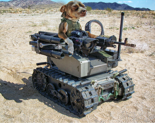 【悲報】ウクライナ、遂にロボット兵士を投入へ！2027年に開始予定ｗｗｗｗ | 【悲報】ウクライナ、遂にロボット兵士を投入へ！2027年に開始予定ｗｗｗｗ | 【悲報】ウクライナ、遂にロボット兵士を投入へ！2027年に開始予定ｗｗｗｗ | 【悲報】ウクライナ、遂にロボット兵士を投入へ！2027年に開始予定ｗｗｗｗ | 【悲報】ウクライナ、遂にロボット兵士を投入へ！2027年に開始予定ｗｗｗｗ | 【悲報】ウクライナ、遂にロボット兵士を投入へ！2027年に開始予定ｗｗｗｗ | やっちまった速報(21215534191792_6)