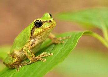 【悲報】ゾンビタバコで涼介逮捕wwwwwwww | やっちまった速報(最新記事1)