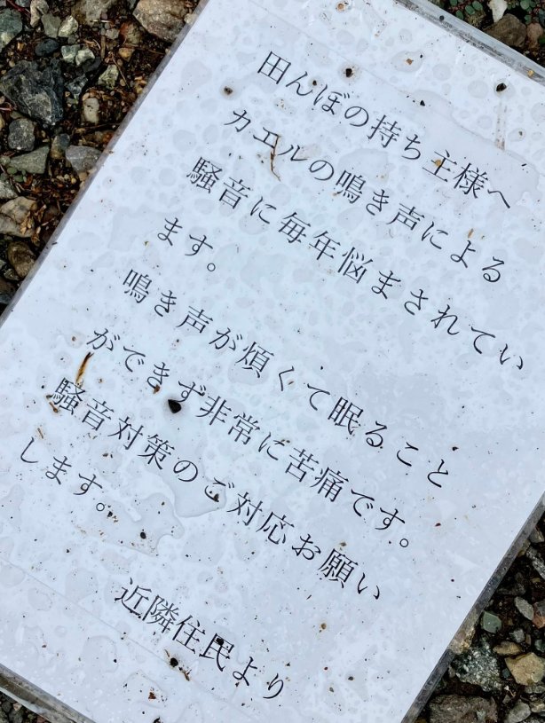 「田んぼの持ち主へ、カエルの声がうるさすぎて寝れません。騒音対策お願いします。」 | 「田んぼの持ち主へ、カエルの声がうるさすぎて寝れません。騒音対策お願いします。」 | やっちまった速報(24084503849091_2) 「田んぼの持ち主へ、カエルの声がうるさすぎて寝れません。騒音対策お願いします。」 | 「田んぼの持ち主へ、カエルの声がうるさすぎて寝れません。騒音対策お願いします。」 | やっちまった速報(24084503849091_2)