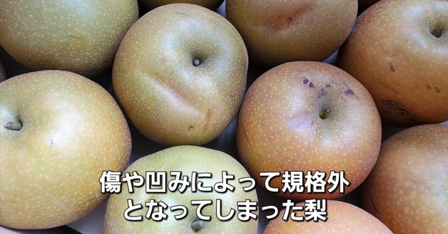 【朗報】Xで梨泥棒扱いされたメルカリ出品者、ブチギレ。警察沙汰にwwwwwwwwwwwwwwwwwwwwwwwww | 【朗報】Xで梨泥棒扱いされたメルカリ出品者、ブチギレ。警察沙汰にwwwwwwwwwwwwwwwwwwwwwwwww | 【朗報】Xで梨泥棒扱いされたメルカリ出品者、ブチギレ。警察沙汰にwwwwwwwwwwwwwwwwwwwwwwwww | 【朗報】Xで梨泥棒扱いされたメルカリ出品者、ブチギレ。警察沙汰にwwwwwwwwwwwwwwwwwwwwwwwww | 【朗報】Xで梨泥棒扱いされたメルカリ出品者、ブチギレ。警察沙汰にwwwwwwwwwwwwwwwwwwwwwwwww | 【朗報】Xで梨泥棒扱いされたメルカリ出品者、ブチギレ。警察沙汰にwwwwwwwwwwwwwwwwwwwwwwwww | 【朗報】Xで梨泥棒扱いされたメルカリ出品者、ブチギレ。警察沙汰にwwwwwwwwwwwwwwwwwwwwwwwww | 【朗報】Xで梨泥棒扱いされたメルカリ出品者、ブチギレ。警察沙汰にwwwwwwwwwwwwwwwwwwwwwwwww | 【朗報】Xで梨泥棒扱いされたメルカリ出品者、ブチギレ。警察沙汰にwwwwwwwwwwwwwwwwwwwwwwwww | 【朗報】Xで梨泥棒扱いされたメルカリ出品者、ブチギレ。警察沙汰にwwwwwwwwwwwwwwwwwwwwwwwww | 【朗報】Xで梨泥棒扱いされたメルカリ出品者、ブチギレ。警察沙汰にwwwwwwwwwwwwwwwwwwwwwwwww | 【朗報】Xで梨泥棒扱いされたメルカリ出品者、ブチギレ。警察沙汰にwwwwwwwwwwwwwwwwwwwwwwwww | やっちまった速報(24134511097577_12)