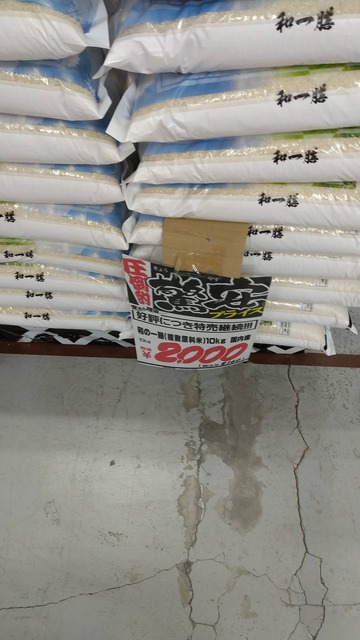 【悲報】米農家「もうお米が安くなりすぎ。これなら廃業した方がマシです」　なんでお前ら米買わんの？ | 【悲報】米農家「もうお米が安くなりすぎ。これなら廃業した方がマシです」　なんでお前ら米買わんの？ | 【悲報】米農家「もうお米が安くなりすぎ。これなら廃業した方がマシです」　なんでお前ら米買わんの？ | 【悲報】米農家「もうお米が安くなりすぎ。これなら廃業した方がマシです」　なんでお前ら米買わんの？ | 【悲報】米農家「もうお米が安くなりすぎ。これなら廃業した方がマシです」　なんでお前ら米買わんの？ | 【悲報】米農家「もうお米が安くなりすぎ。これなら廃業した方がマシです」　なんでお前ら米買わんの？ | 【悲報】米農家「もうお米が安くなりすぎ。これなら廃業した方がマシです」　なんでお前ら米買わんの？ | やっちまった速報(25083534331911_7)