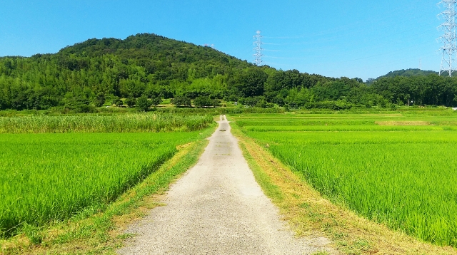 やっちまった速報(最新記事6)