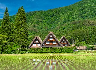やっちまった速報(最新記事1)