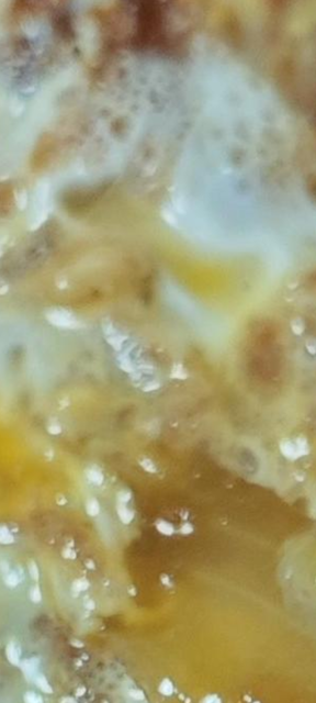 【画像】このカツ丼の違和感に気づいた奴、センスあるぞｗｗｗｗ | 【画像】このカツ丼の違和感に気づいた奴、センスあるぞｗｗｗｗ | 【画像】このカツ丼の違和感に気づいた奴、センスあるぞｗｗｗｗ | 【画像】このカツ丼の違和感に気づいた奴、センスあるぞｗｗｗｗ | 【画像】このカツ丼の違和感に気づいた奴、センスあるぞｗｗｗｗ | 【画像】このカツ丼の違和感に気づいた奴、センスあるぞｗｗｗｗ | 【画像】このカツ丼の違和感に気づいた奴、センスあるぞｗｗｗｗ | やっちまった速報(03025622255072_7)