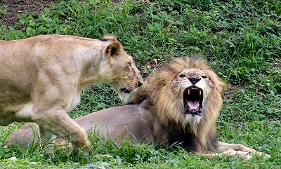 【画像】田舎と都会の夏休みの差がコチラｗｗｗｗｗ
 | やっちまった速報(最新記事1)